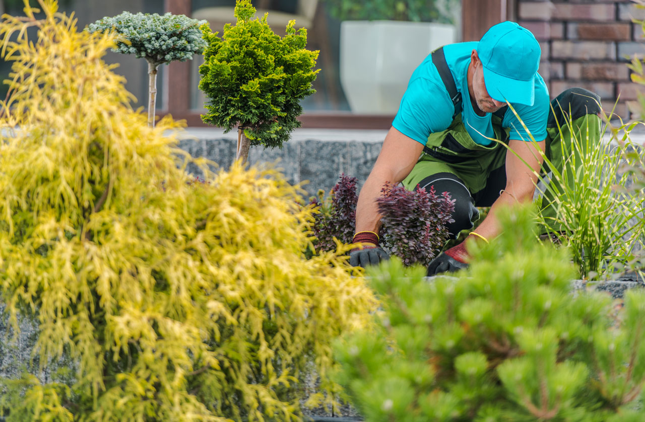 CAP agricole Jardinier Paysagiste
