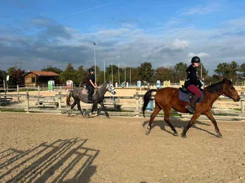 centre-equestre-lycee-saint-andre-1