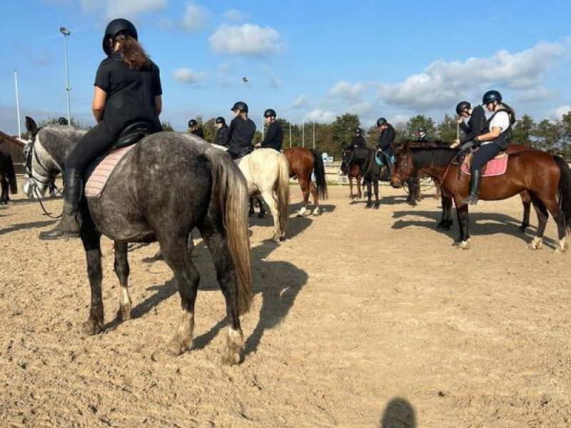 centre-equestre-lycee-saint-andre-2